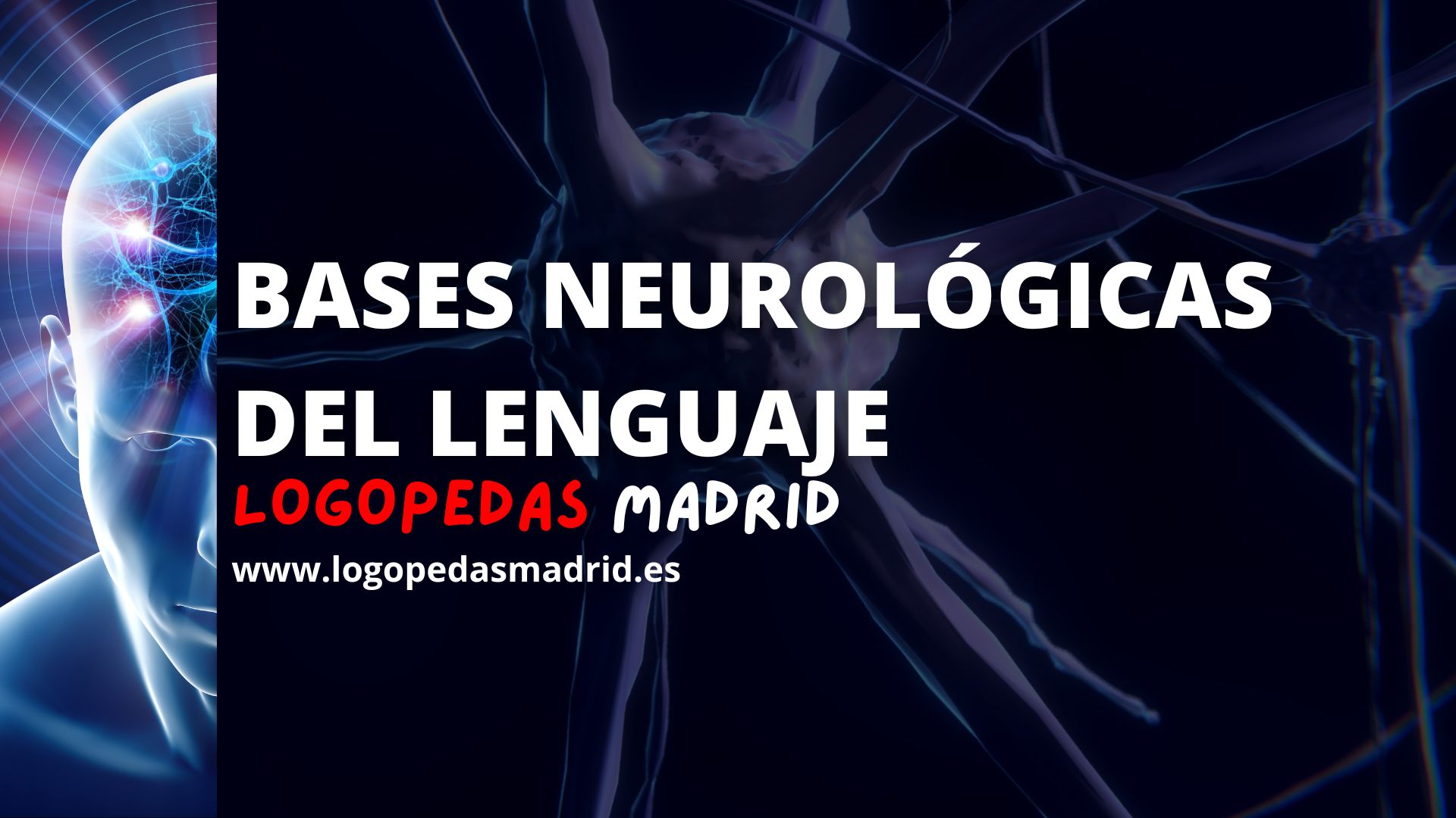 Neurología del lenguaje